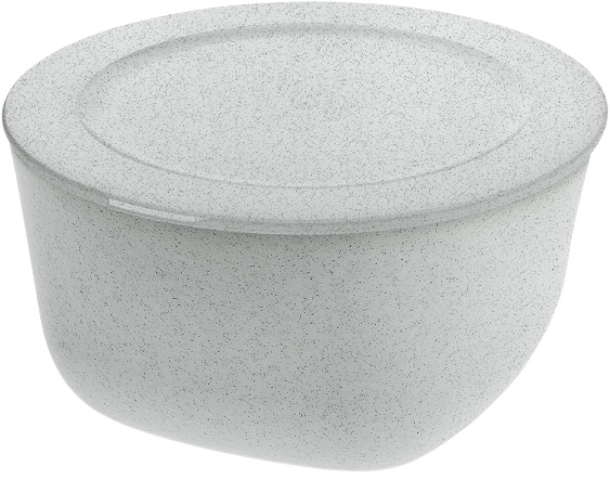 lunchbox Connect 4 liter 24,7 cm grijs