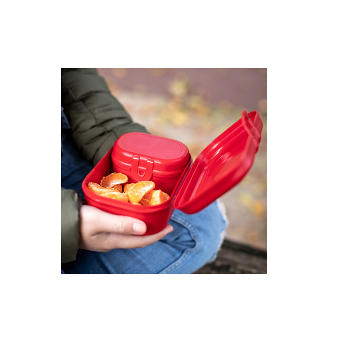 lunchbox Pascal Mini 0,35 liter 10 x 7 cm rood - Afbeelding 2